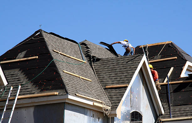 Best Metal Roofing Contractor  in Freer, TX