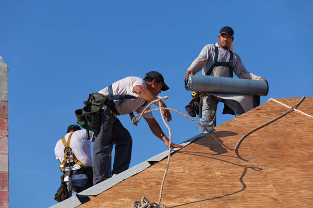 Best Commercial Roofing Services  in Freer, TX